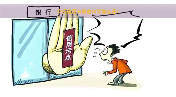 交行信用卡美金欠款怎么还？