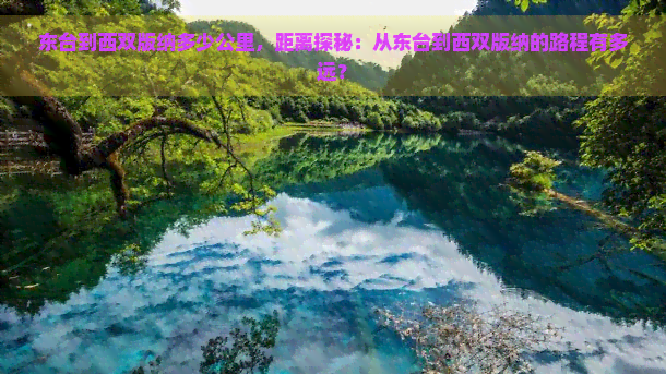 东台到西双版纳多少公里，距离探秘：从东台到西双版纳的路程有多远？