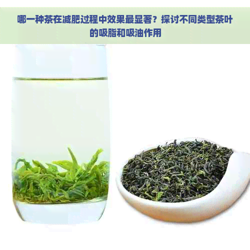 哪一种茶在减肥过程中效果最显著？探讨不同类型茶叶的吸脂和吸油作用