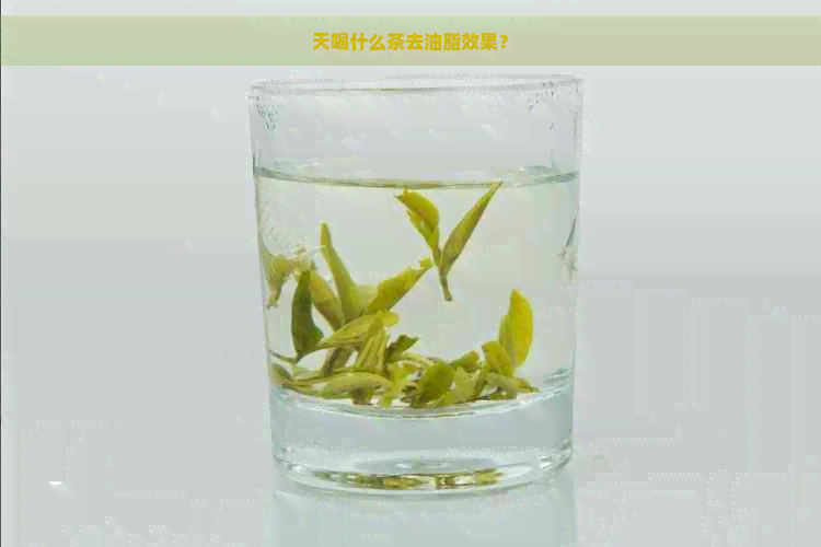 天喝什么茶去油脂效果？