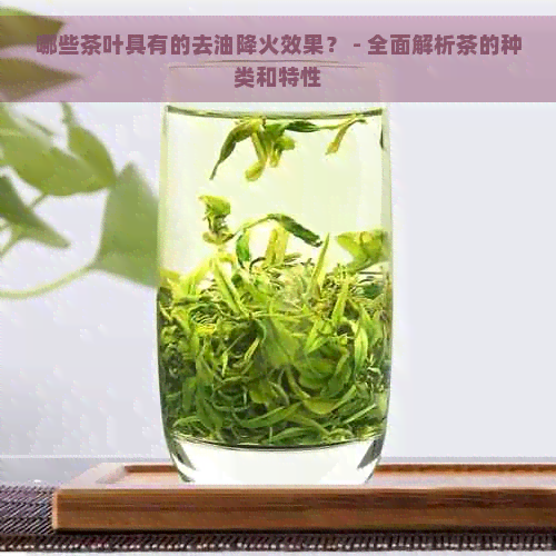 哪些茶叶具有的去油降火效果？ - 全面解析茶的种类和特性