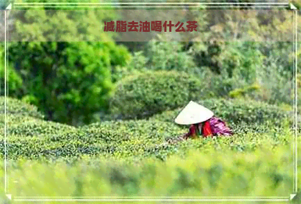 减脂去油喝什么茶