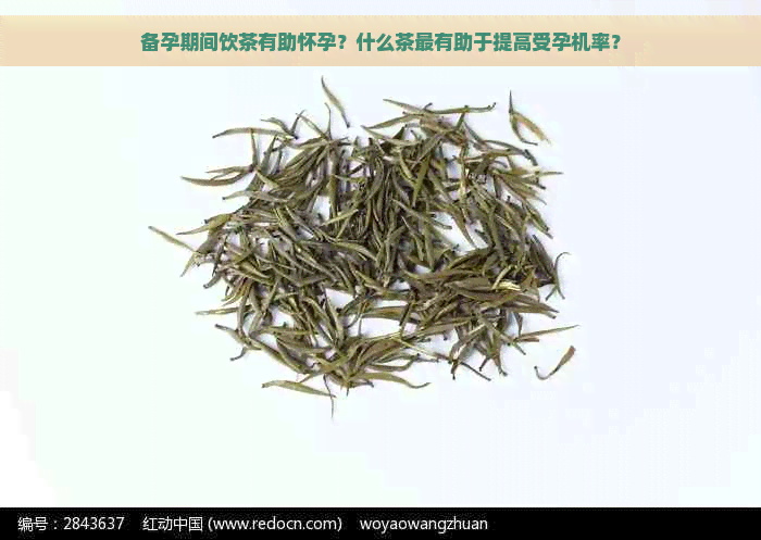 备孕期间饮茶有助怀孕？什么茶最有助于提高受孕机率？