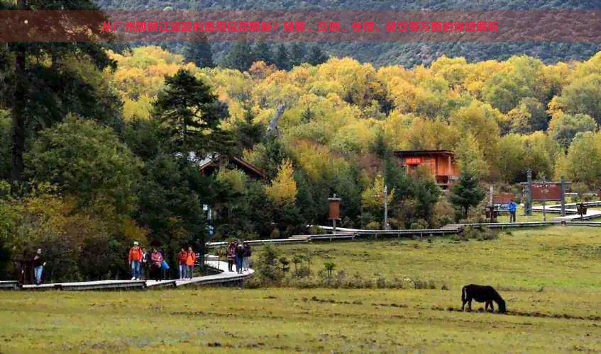 从广州到丽江旅游的费用包括哪些？预算、交通、住宿、餐饮等方面的详细解析