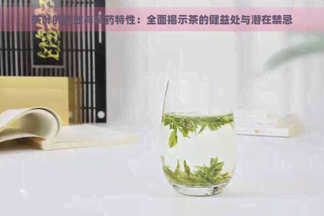 茶叶的药效与解药特性：全面揭示茶的健益处与潜在禁忌