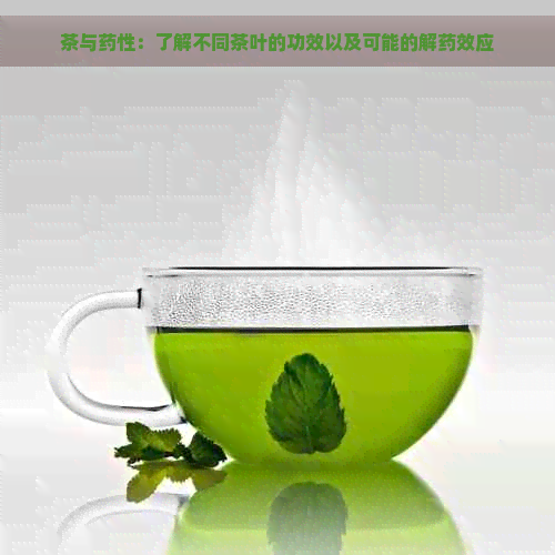 茶与药性：了解不同茶叶的功效以及可能的解药效应