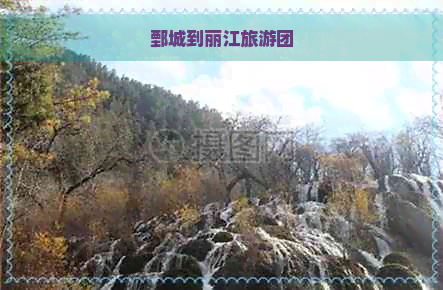 鄄城到丽江旅游团