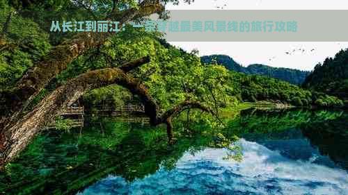 从长江到丽江：一条穿越最美风景线的旅行攻略