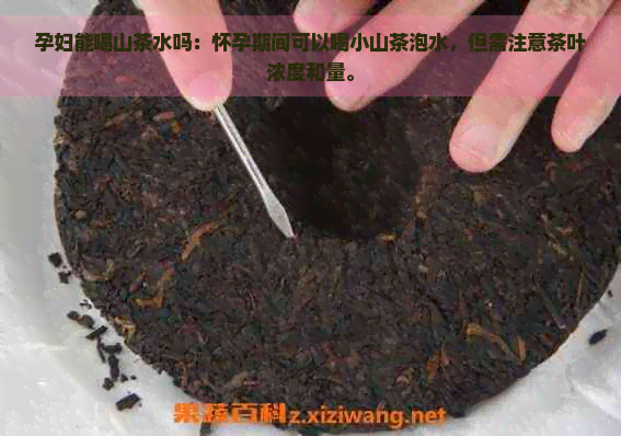 孕妇能喝山茶水吗：怀孕期间可以喝小山茶泡水，但需注意茶叶浓度和量。