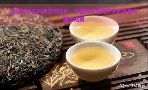 健脾胃除湿热的茶饮选择：全面解析各类茶叶的功效与适用场景