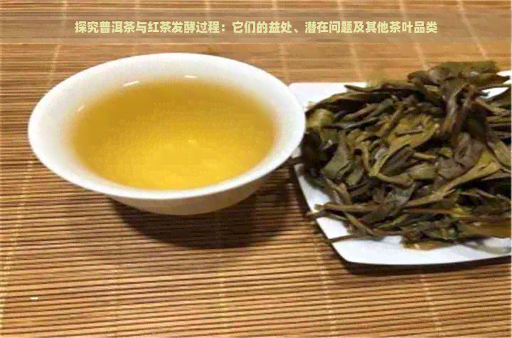 探究普洱茶与红茶发酵过程：它们的益处、潜在问题及其他茶叶品类