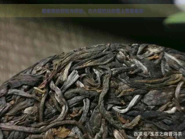 喝春茶的好处与坏处，六大好处让你爱上常喝春茶