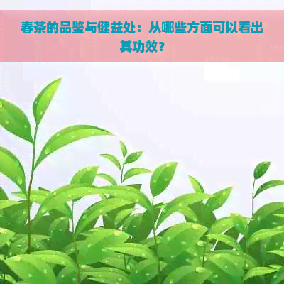 春茶的品鉴与健益处：从哪些方面可以看出其功效？