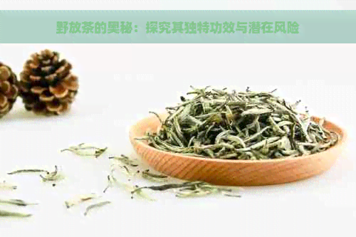 野放茶的奥秘：探究其独特功效与潜在风险