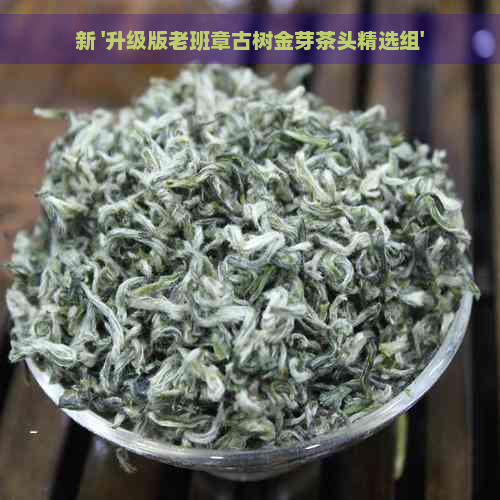 新 '升级版老班章古树金芽茶头精选组'