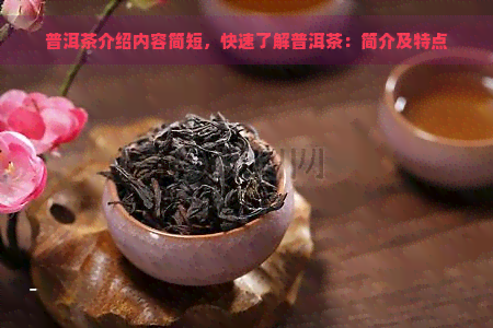 普洱茶介绍内容简短，快速了解普洱茶：简介及特点