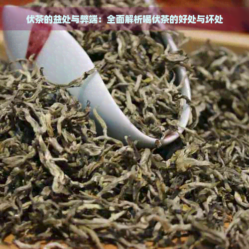 伏茶的益处与弊端：全面解析喝伏茶的好处与坏处