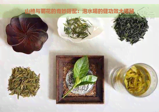 山楂与菊花的奇妙搭配：泡水喝的健功效大揭秘