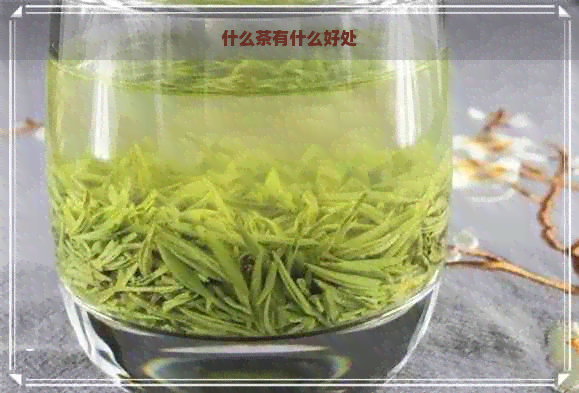 什么茶有什么好处