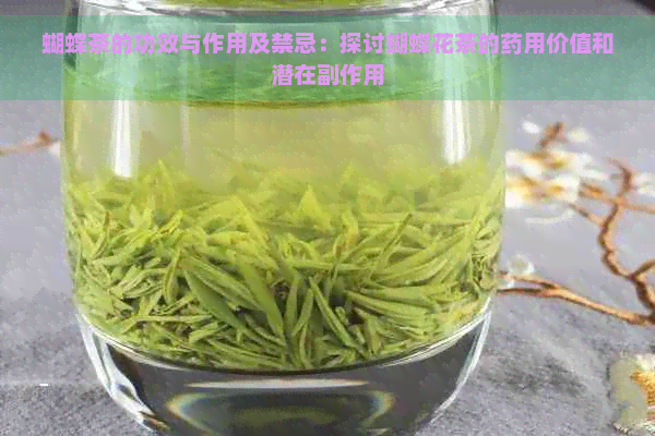 蝴蝶茶的功效与作用及禁忌：探讨蝴蝶花茶的药用价值和潜在副作用