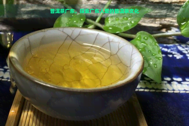 普洱茶广东，探索广东人爱的普洱茶文化