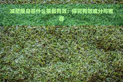 减肥瘦身茶什么茶最有效：探究有效成分与推荐