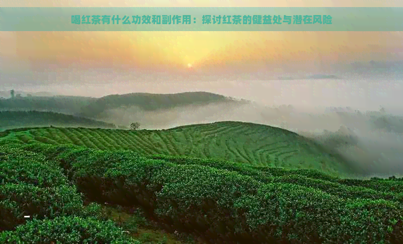 喝红茶有什么功效和副作用：探讨红茶的健益处与潜在风险