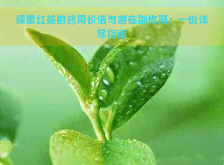 探索红茶的药用价值与潜在副作用：一份详尽指南