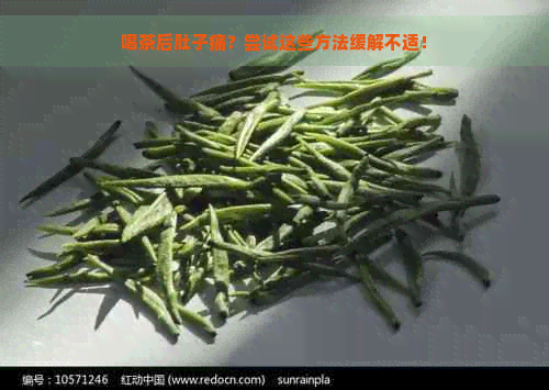 喝茶后肚子痛？尝试这些方法缓解不适！