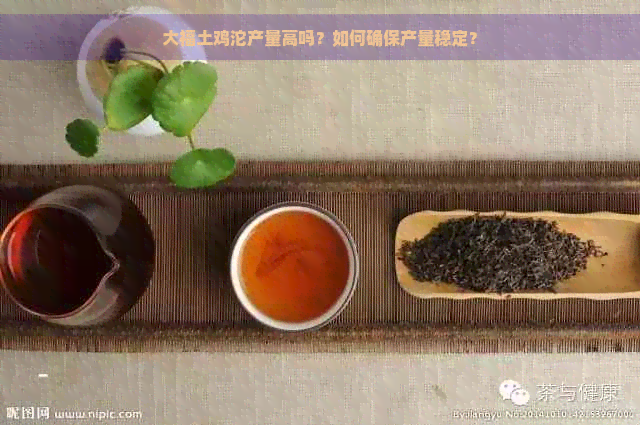 大福土鸡沱产量高吗？如何确保产量稳定？