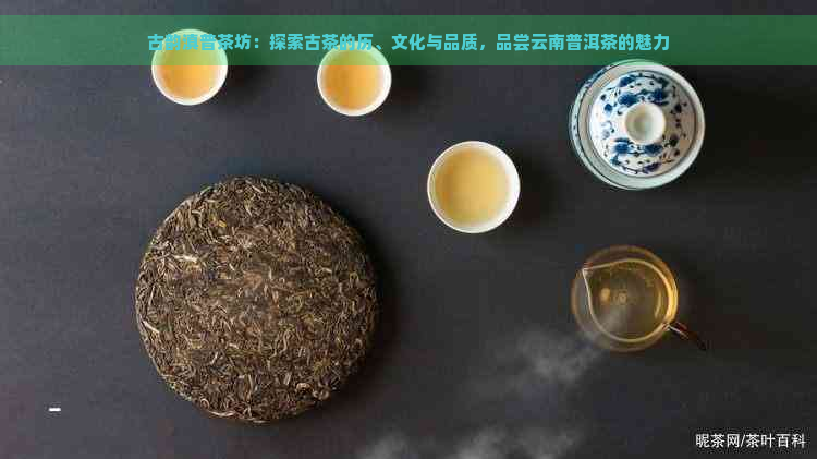 古韵滇普茶坊：探索古茶的历、文化与品质，品尝云南普洱茶的魅力-普洱生茶熟茶