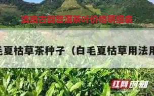 滇南古韵普洱茶叶价格明细表