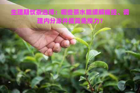 生理期饮茶选择：哪些茶水能缓解痛经、调理内分泌并提高免疫力？