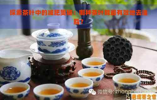 探索茶叶中的减肥奥秘：哪种茶叶能最有效地去油脂？