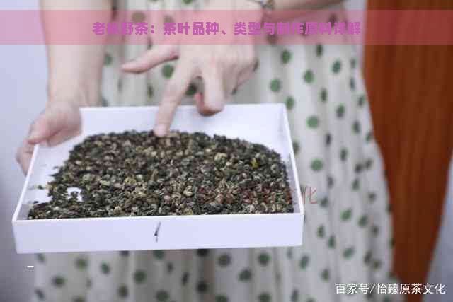 老枞野茶：茶叶品种、类型与制作原料详解