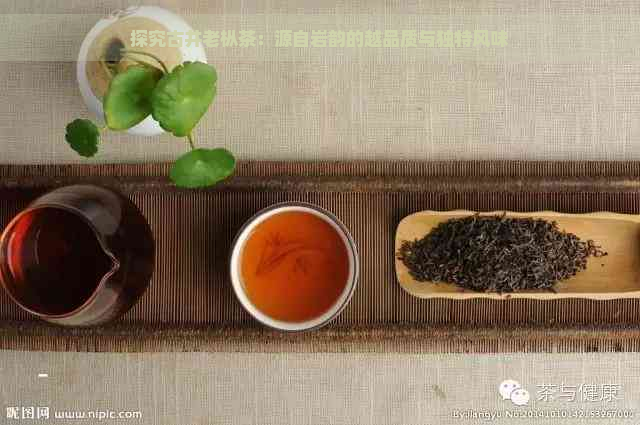 探究古井老枞茶：源自岩韵的越品质与独特风味