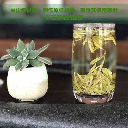 高山老枞茶：制作原料解析，揭示其使用茶叶叶还是芽的秘密