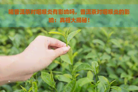 喝普洱茶对咽喉炎有影响吗，普洱茶对咽喉炎的影响：真相大揭秘！