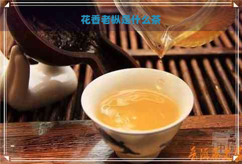 花香老枞是什么茶