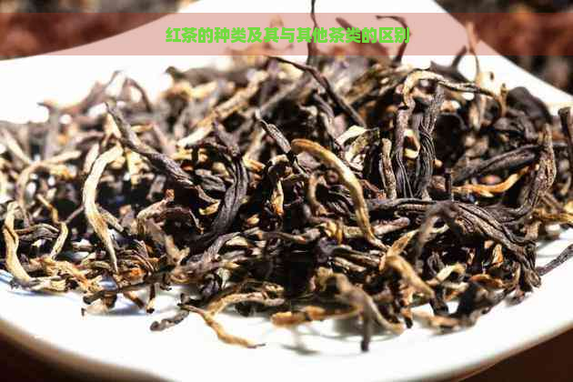 红茶的种类及其与其他茶类的区别