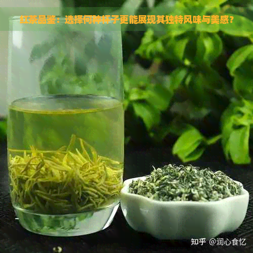 红茶品鉴：选择何种杯子更能展现其独特风味与美感？