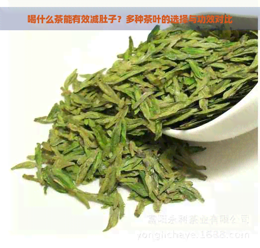 喝什么茶能有效减肚子？多种茶叶的选择与功效对比