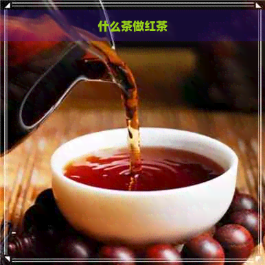 什么茶做红茶