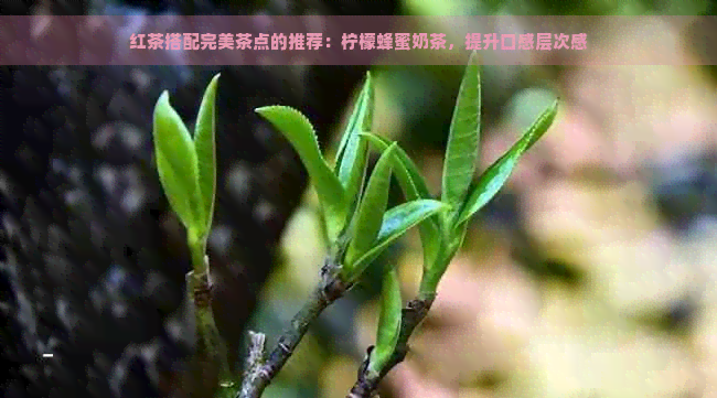 红茶搭配完美茶点的推荐：柠檬蜂蜜奶茶，提升口感层次感