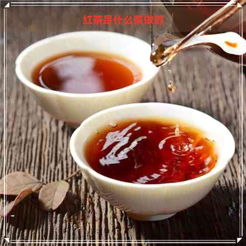 红茶是什么茶做的