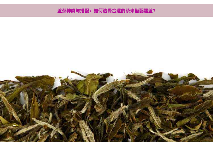 盏茶种类与搭配：如何选择合适的茶来搭配建盏？