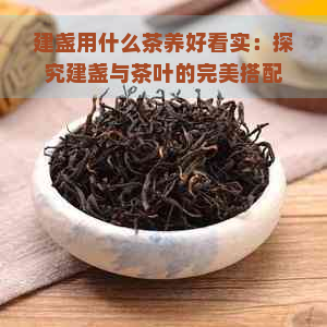 建盏用什么茶养好看实：探究建盏与茶叶的完美搭配