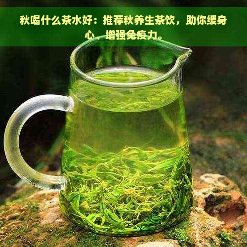 秋喝什么茶水好：推荐秋养生茶饮，助你缓身心、增强免疫力。