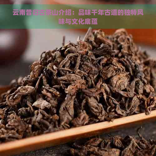 云南昔归古茶山介绍：品味千年古道的独特风味与文化底蕴