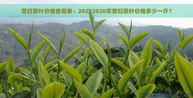 昔归茶叶价格查询表：20222020年昔归茶叶价格多少一斤？